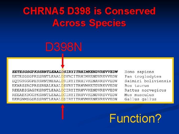 CHRNA 5 D 398 is Conserved Across Species D 398 N Function? 