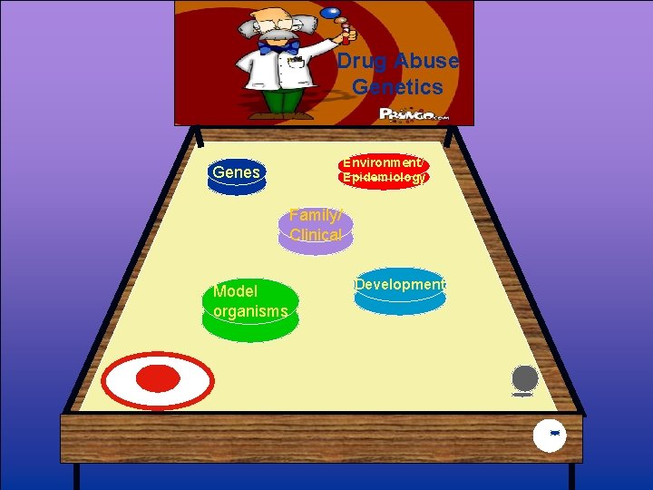 Drug Abuse Genetics Environment/ Epidemiology Genes Family/ Clinical Model organisms Development 