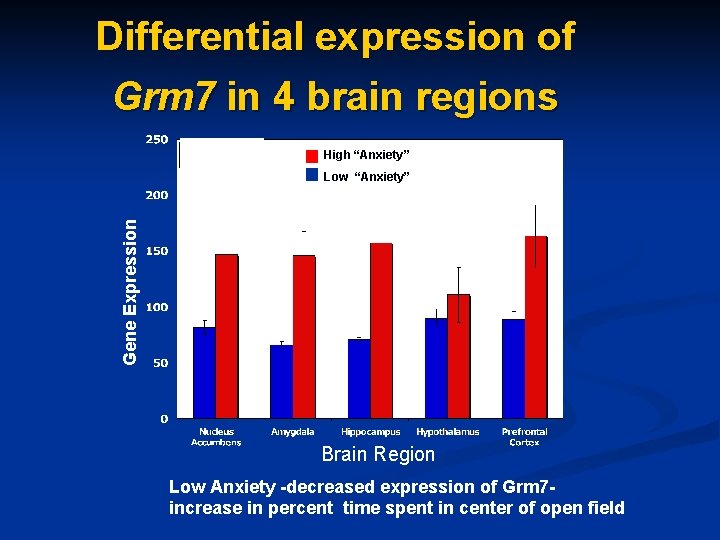 Differential expression of Grm 7 in 4 brain regions High “Anxiety” Gene Expression Low