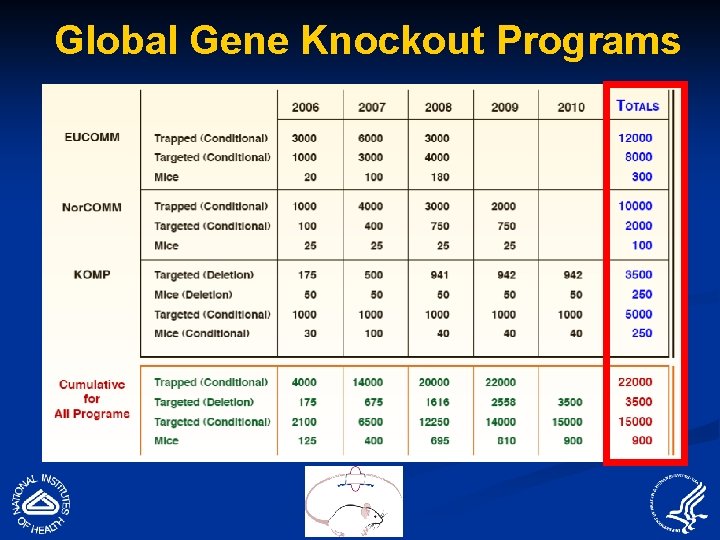 Global Gene Knockout Programs 