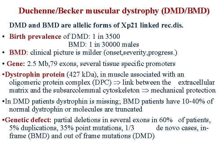 Duchenne/Becker muscular dystrophy (DMD/BMD) • DMD and BMD are allelic forms of Xp 21