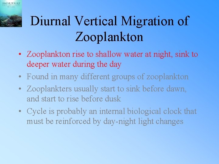 Diurnal Vertical Migration of Zooplankton • Zooplankton rise to shallow water at night, sink