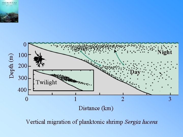 Depth (m) 0 Night 100 200 300 400 0 Day Twilight 1 2 Distance