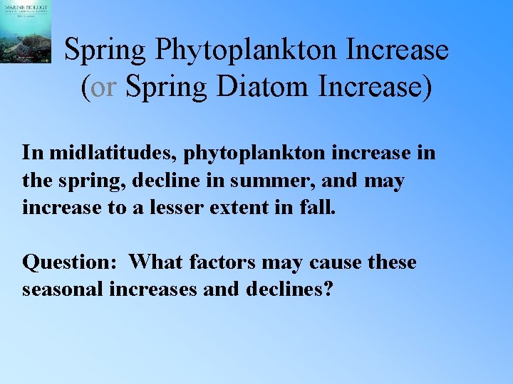 Spring Phytoplankton Increase (or Spring Diatom Increase) In midlatitudes, phytoplankton increase in the spring,