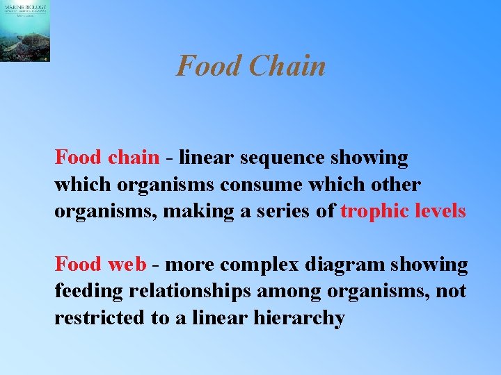 Food Chain Food chain - linear sequence showing which organisms consume which other organisms,