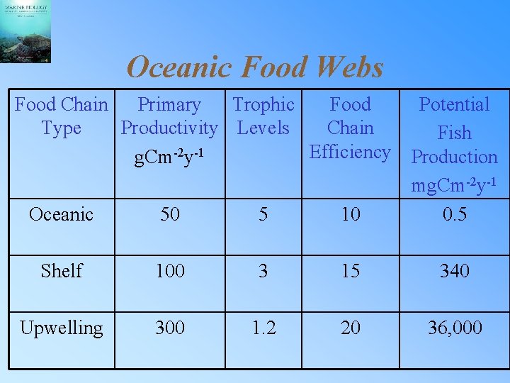 Oceanic Food Webs Food Chain Primary Trophic Food Potential Type Productivity Levels Chain Fish