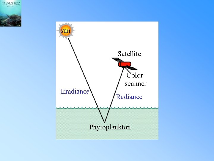 sun Satellite Irradiance Color scanner Radiance Phytoplankton 