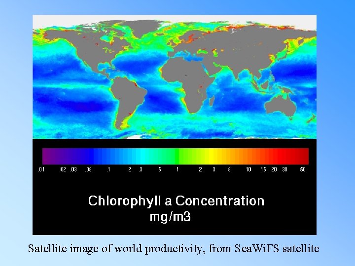Satellite image of world productivity, from Sea. Wi. FS satellite 