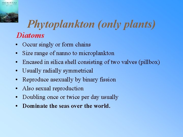 Phytoplankton (only plants) Diatoms • • Occur singly or form chains Size range of