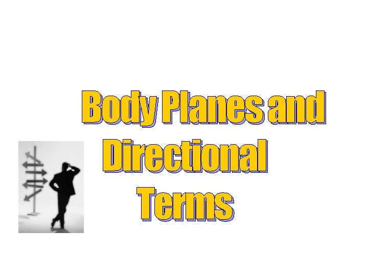 Body Planes and Directional Terms 