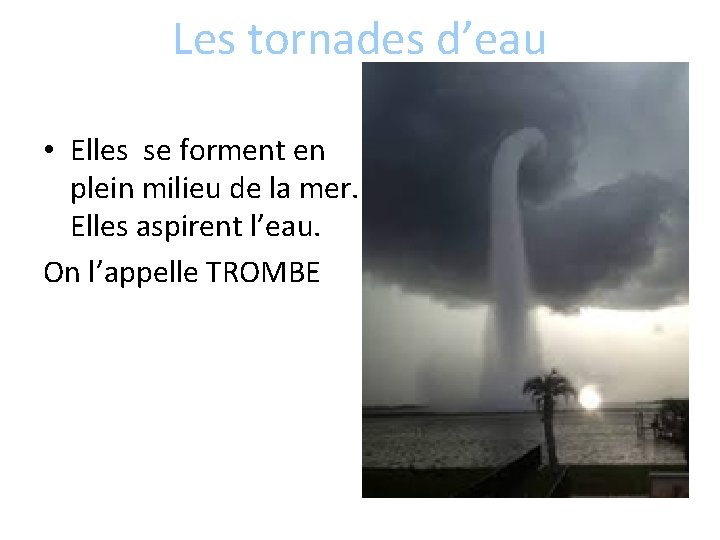 Les tornades d’eau • Elles se forment en plein milieu de la mer. Elles