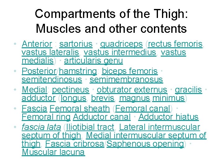 Compartments of the Thigh: Muscles and other contents • Anterior : sartorius · quadriceps