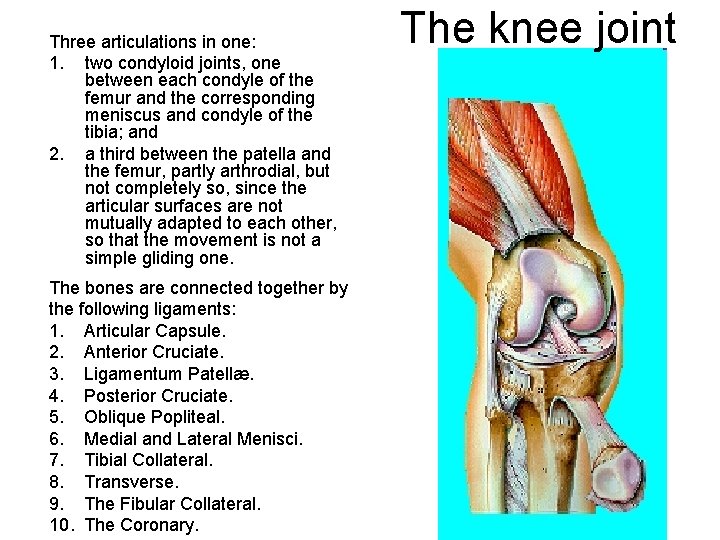 Three articulations in one: 1. two condyloid joints, one between each condyle of the