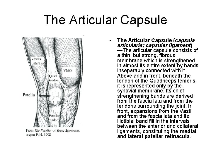The Articular Capsule • The Articular Capsule (capsula articularis; capsular ligament) —The articular capsule