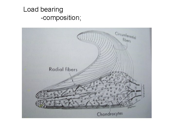 Load bearing -composition; 