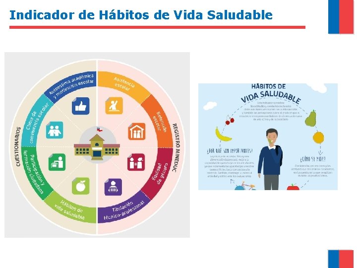 Indicador de Hábitos de Vida Saludable 