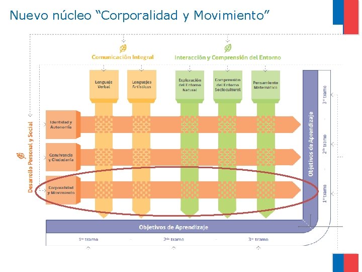 Nuevo núcleo “Corporalidad y Movimiento” 