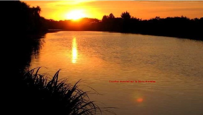 Coucher de soleil sur la Sèvre niortaise 