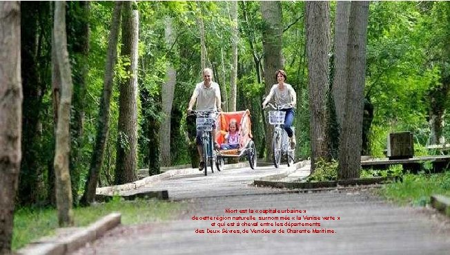 Niort est la « capitale urbaine » de cette région naturelle surnommée « la