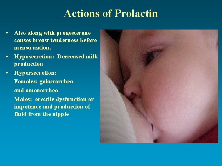 Actions of Prolactin • Also along with progesterone causes breast tenderness before menstruation. •
