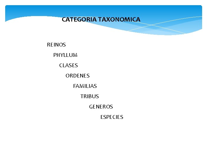 CATEGORIA TAXONOMICA REINOS PHYLLUM CLASES ORDENES FAMILIAS TRIBUS GENEROS ESPECIES 