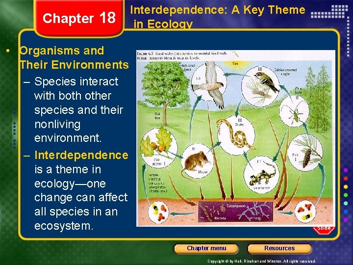 Chapter 18 Interdependence: A Key Theme in Ecology • Organisms and Their Environments –