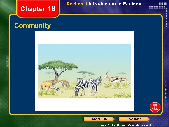 Chapter 18 Section 1 Introduction to Ecology Community Chapter menu Resources Copyright © by