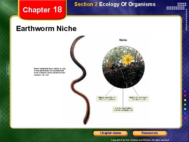 Chapter 18 Section 2 Ecology Of Organisms Earthworm Niche Chapter menu Resources Copyright ©