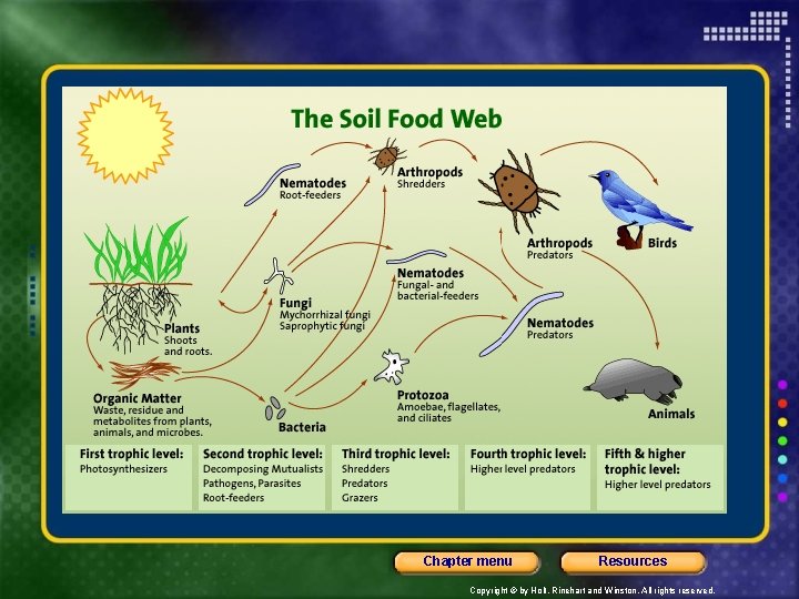 Chapter menu Resources Copyright © by Holt, Rinehart and Winston. All rights reserved. 