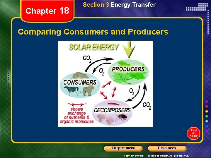 Chapter 18 Section 3 Energy Transfer Comparing Consumers and Producers Chapter menu Resources Copyright