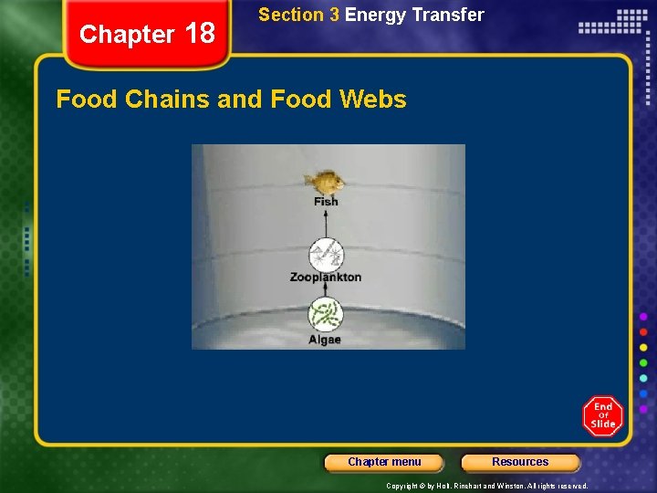 Chapter 18 Section 3 Energy Transfer Food Chains and Food Webs Chapter menu Resources