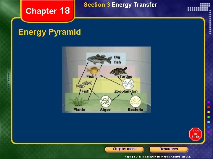 Chapter 18 Section 3 Energy Transfer Energy Pyramid Chapter menu Resources Copyright © by