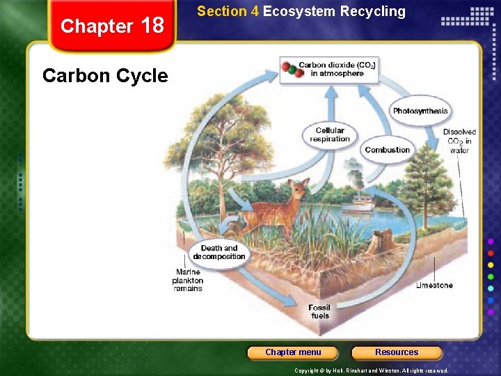 Chapter 18 Section 4 Ecosystem Recycling Carbon Cycle Chapter menu Resources Copyright © by