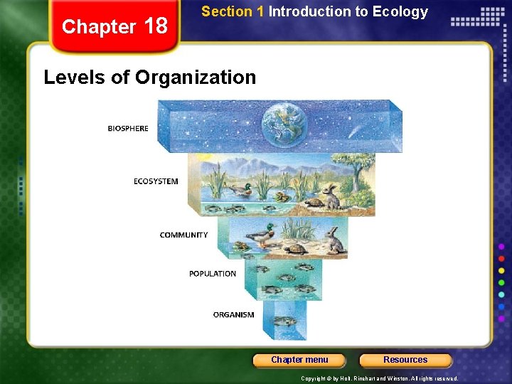 Chapter 18 Section 1 Introduction to Ecology Levels of Organization Chapter menu Resources Copyright