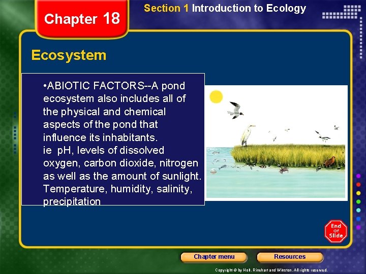 Chapter 18 Section 1 Introduction to Ecology Ecosystem • ABIOTIC FACTORS--A pond ecosystem also