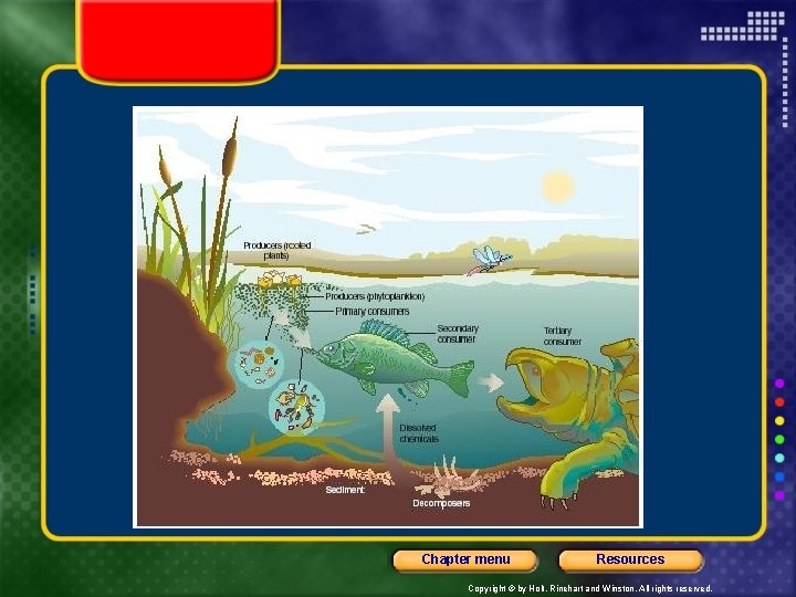 Chapter menu Resources Copyright © by Holt, Rinehart and Winston. All rights reserved. 