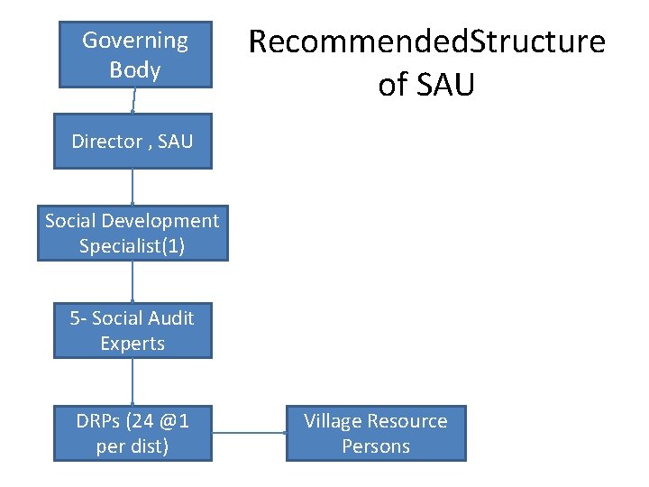 Governing Body Recommended. Structure of SAU Director , SAU Social Development Specialist(1) 5 -
