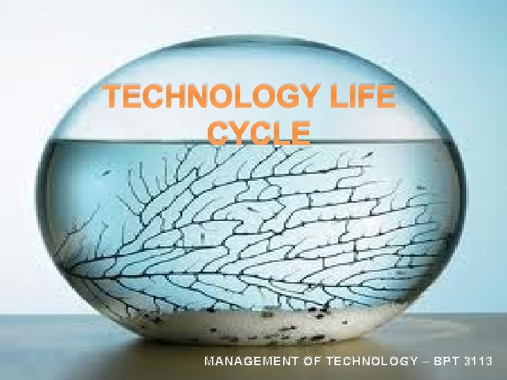 TECHNOLOGY LIFE CYCLE MANAGEMENT OF TECHNOLOGY – BPT 3113 