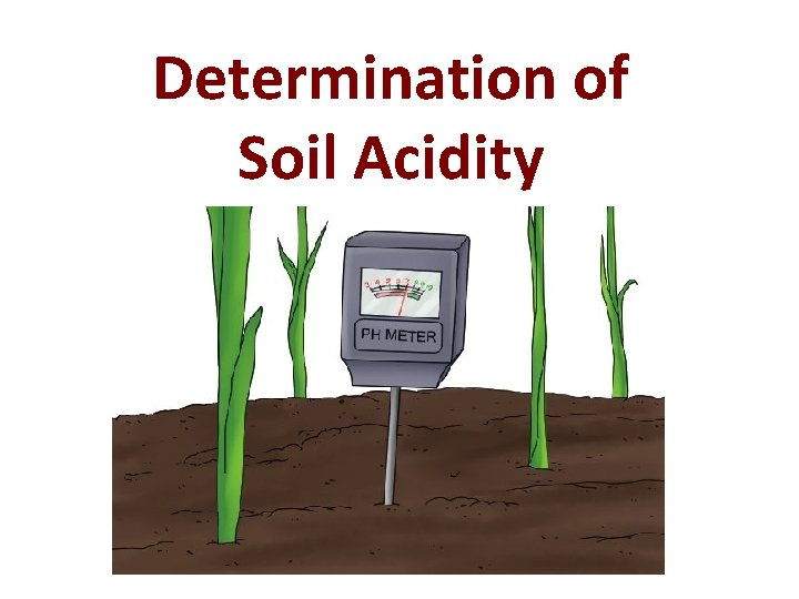 Determination of Soil Acidity 