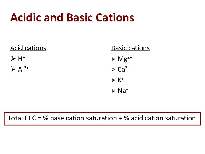 Acidic and Basic Cations Acid cations Ø H+ Ø Al 3+ Basic cations Ø
