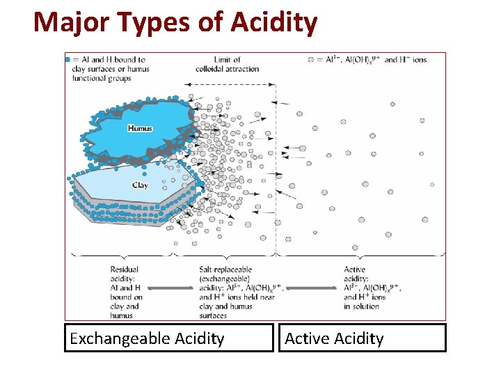 Major Types of Acidity Exchangeable Acidity Active Acidity Fig. 9. 9 from Nature and