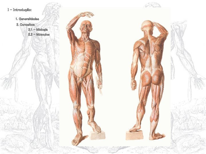 I – Introdução: 1. Generalidades 2. Conceitos: 2. 1 – Miologia 2. 2 -