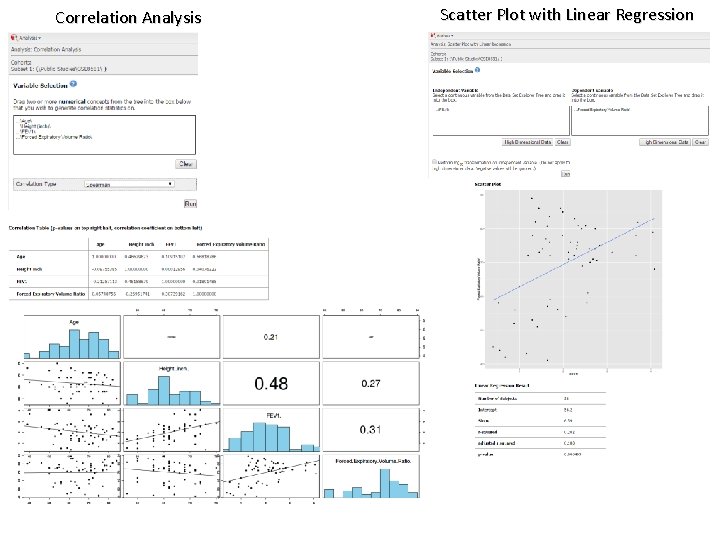 Correlation Analysis Scatter Plot with Linear Regression 