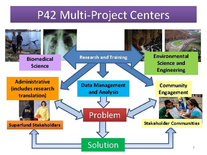 P 42 Multi-Project Centers Biomedical Science Administrative (includes research translation) Research and Training Environmental