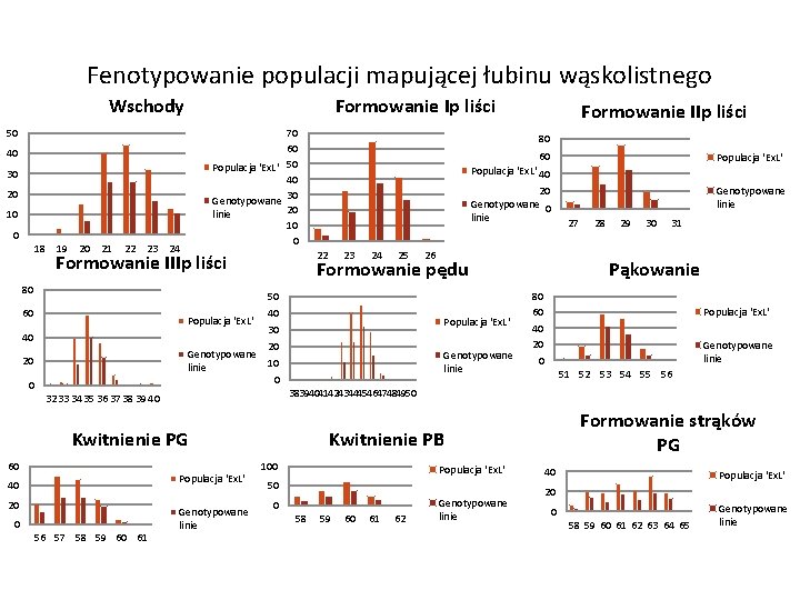 Fenotypowanie populacji mapującej łubinu wąskolistnego Wschody Formowanie Ip liści 50 70 60 Populacja 'Ex.