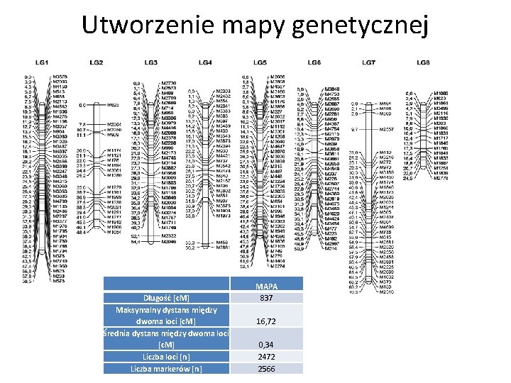 Utworzenie mapy genetycznej Długość [c. M] Maksymalny dystans między dwoma loci [c. M] Średnia