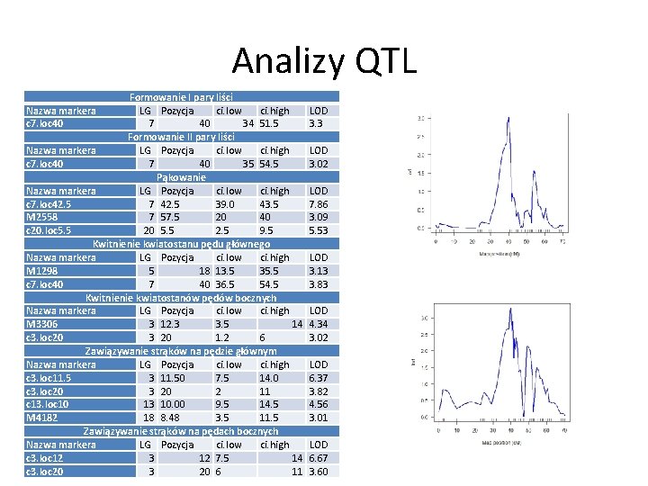 Analizy QTL Formowanie I pary liści Nazwa markera LG Pozycja ci. low ci. high