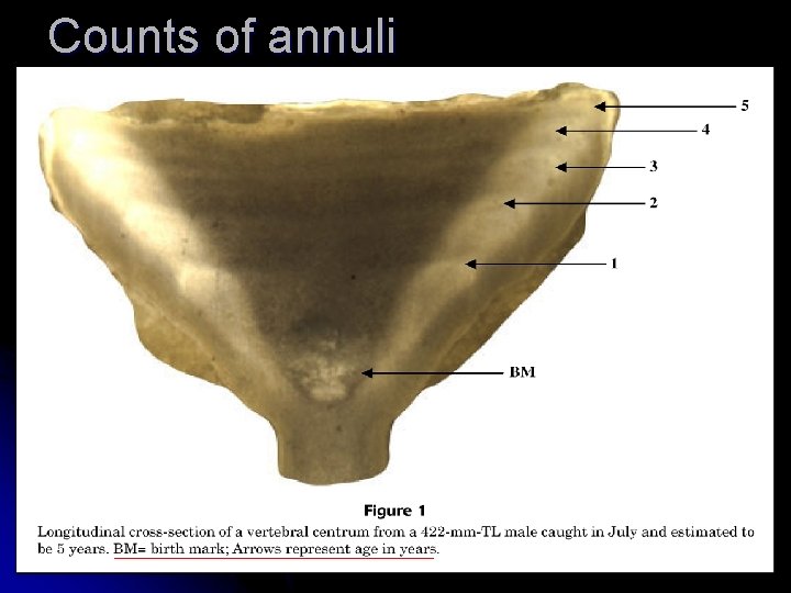 Counts of annuli 