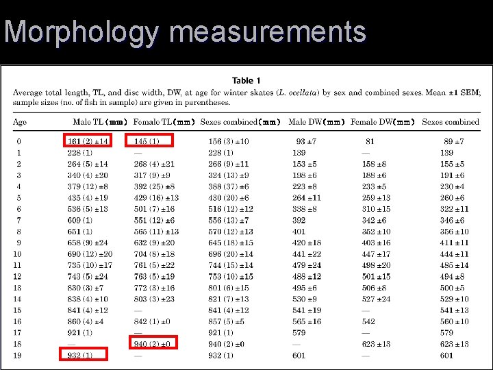 Morphology measurements （ｍｍ） （ｍｍ） 