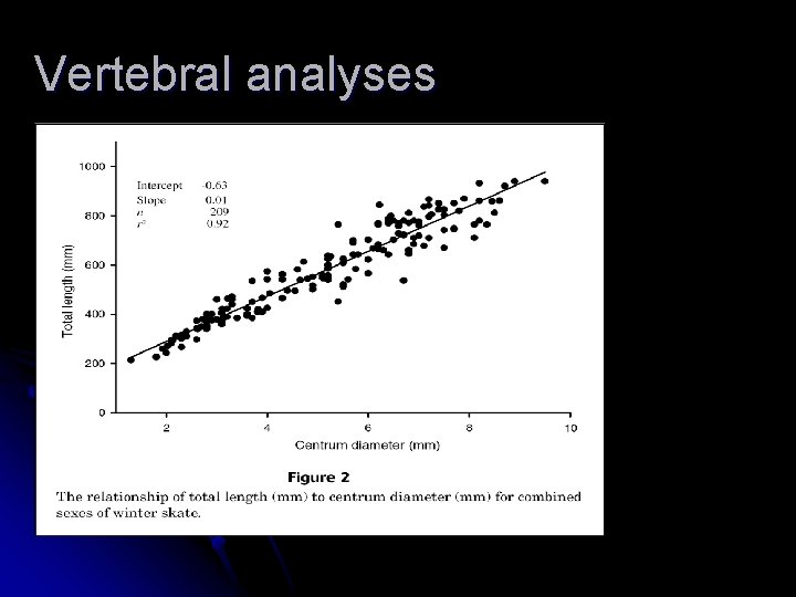 Vertebral analyses 